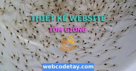 Thiết kế web tôm giống chuẩn SEO