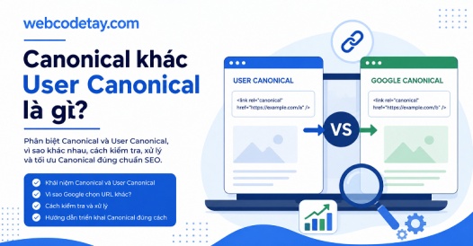 Canonical khác User Canonical là gì?