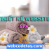 Thiết kế website Spa chuẩn SEO